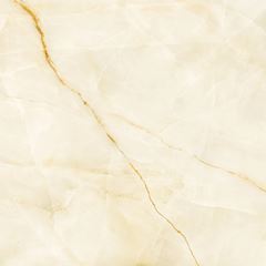 Piso Aster Brilhante Retificado 67x67 Tipo A ARIELLE / REF.58829