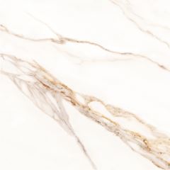 Piso Coqueirinho Lux Brilhante Retificado 67x67 Tipo A REALLE / 68804