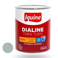 Tinta Esmalte Alto Brilho Dialine Base Água 750ml Platina IQUINE / REF. 234200683