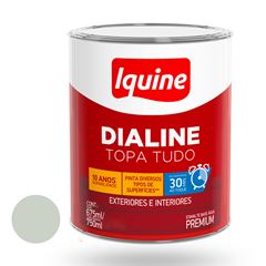 Tinta Esmalte Acetinada Dialine Base Água 750ml Branco Gelo IQUINE / REF. 236200383
